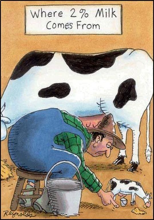 Acid Picdump (128 pics)