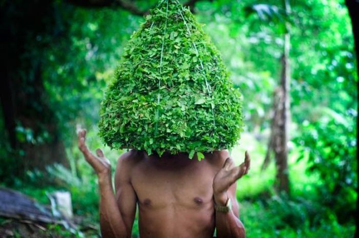 Acid Picdump (128 pics)