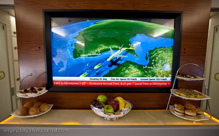 Luxury Airbus A380 of the Emirates Airlines (48 pics)