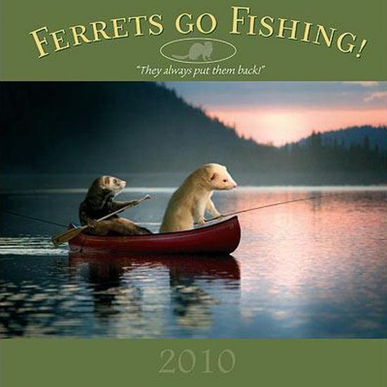 Ferrets go Fishing (13 pics)