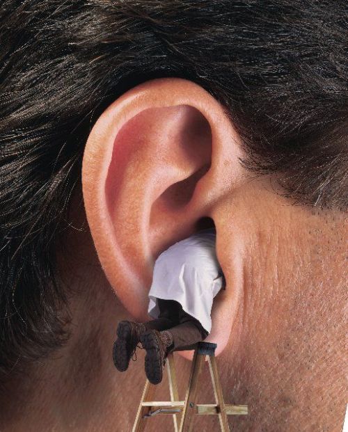 Acid Picdump (135 pics)