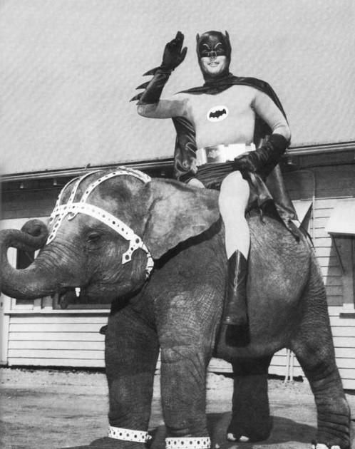 Acid Picdump (135 pics)
