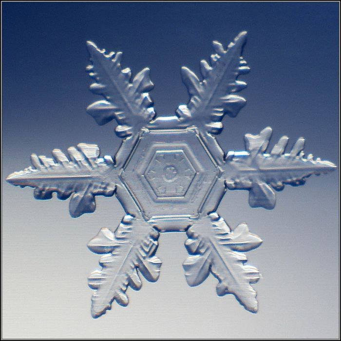Beautiful Snowflakes (49 pics)