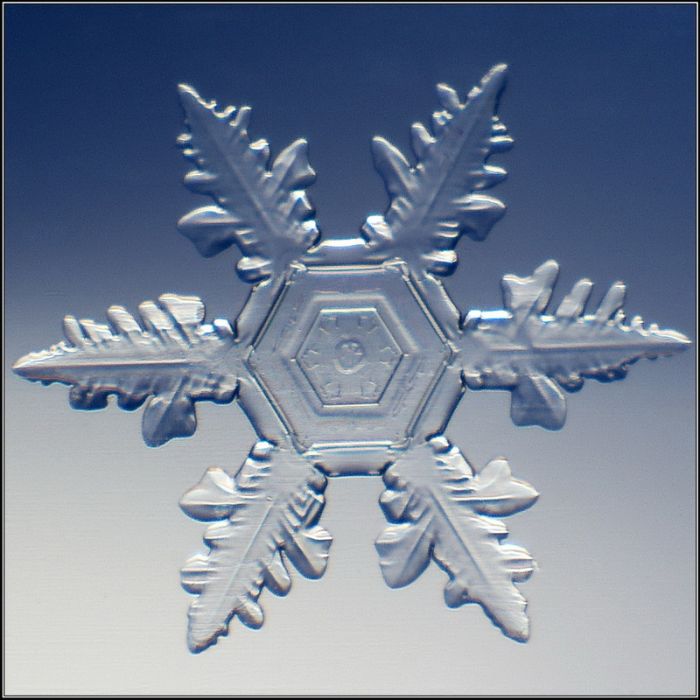 Beautiful Snowflakes (49 pics)
