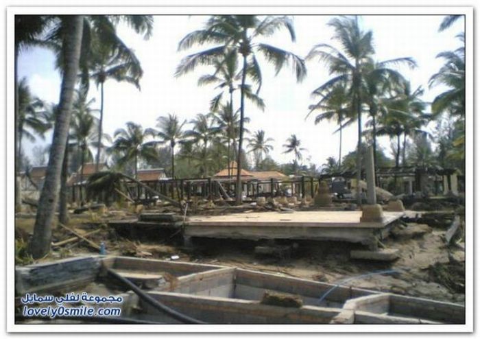 Before and After Tsunami Pictures (29 pics)