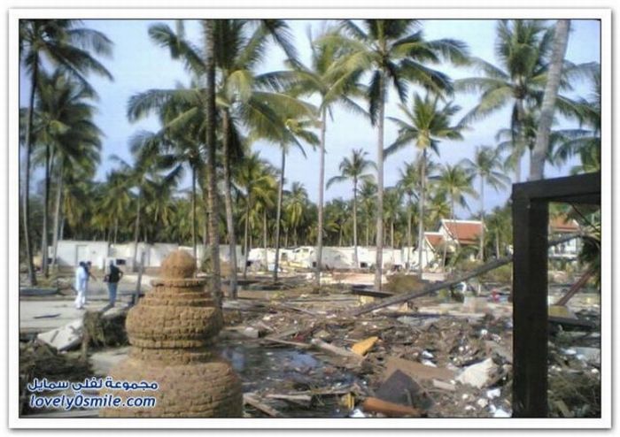 Before and After Tsunami Pictures (29 pics)