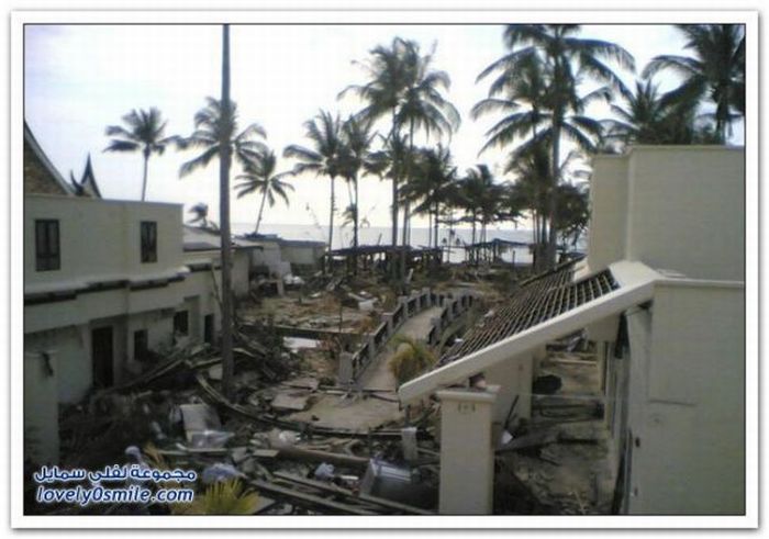 Before and After Tsunami Pictures (29 pics)