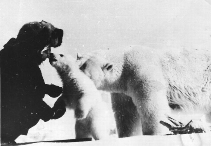 Feeding Polar Bears (12 pics)