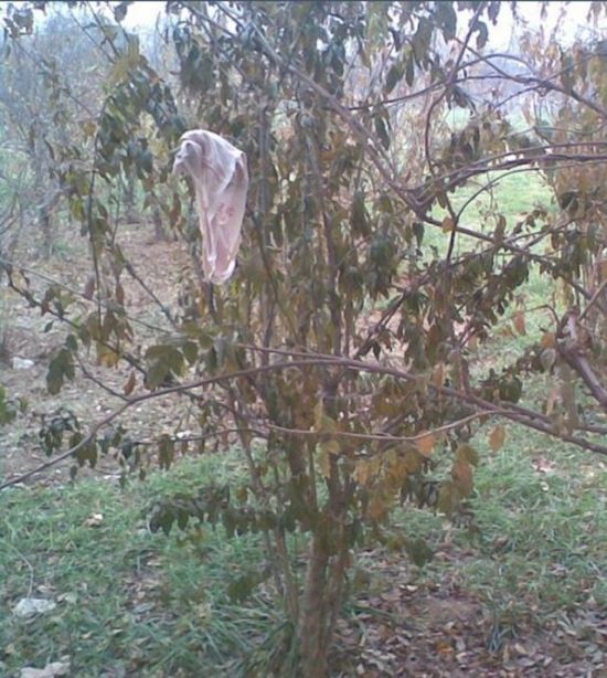 What can be Found Under the Windows of a Student Dorm (6 pics)
