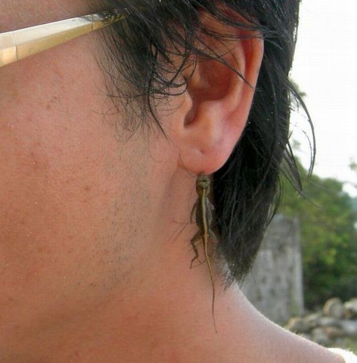 Acid Picdump (113 pics)