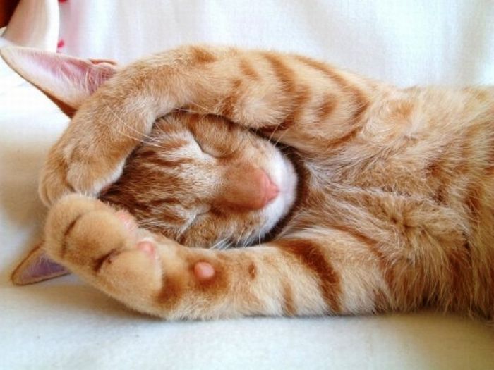 Acid Picdump (135 pics)