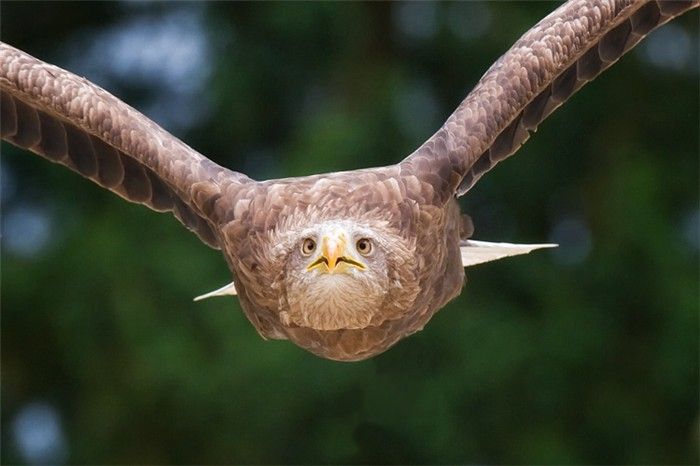 Acid Picdump (135 pics)