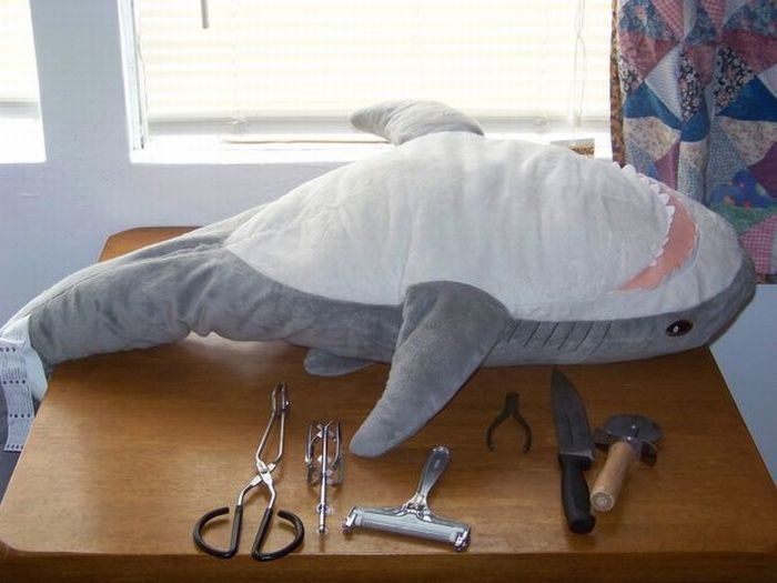 Strange Gift Package (23 pics)