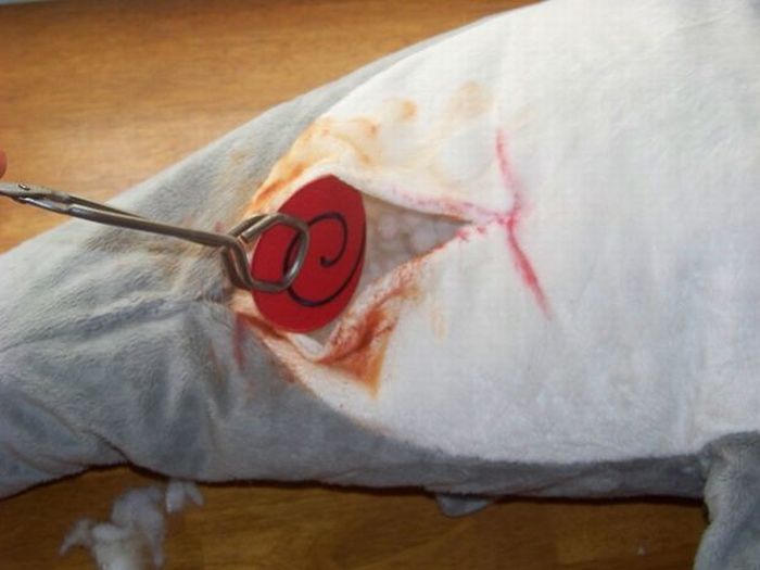 Strange Gift Package (23 pics)