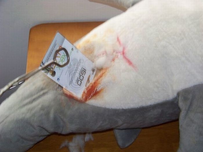 Strange Gift Package (23 pics)