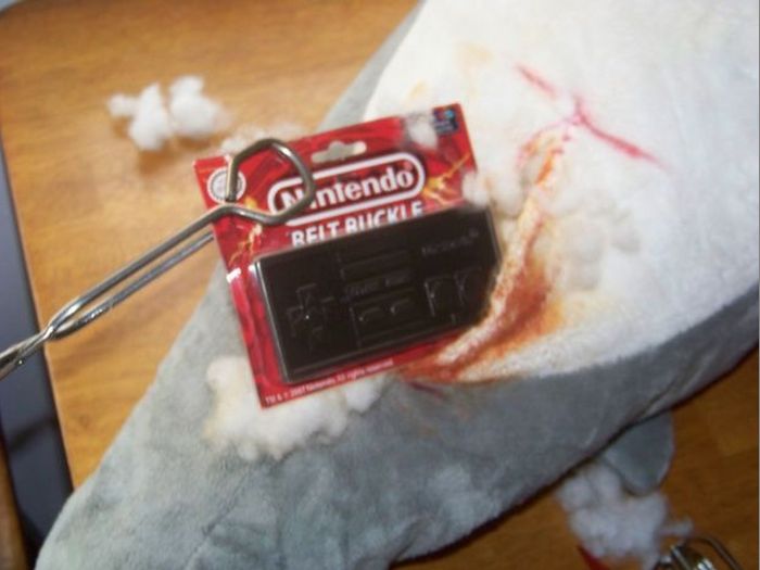 Strange Gift Package (23 pics)
