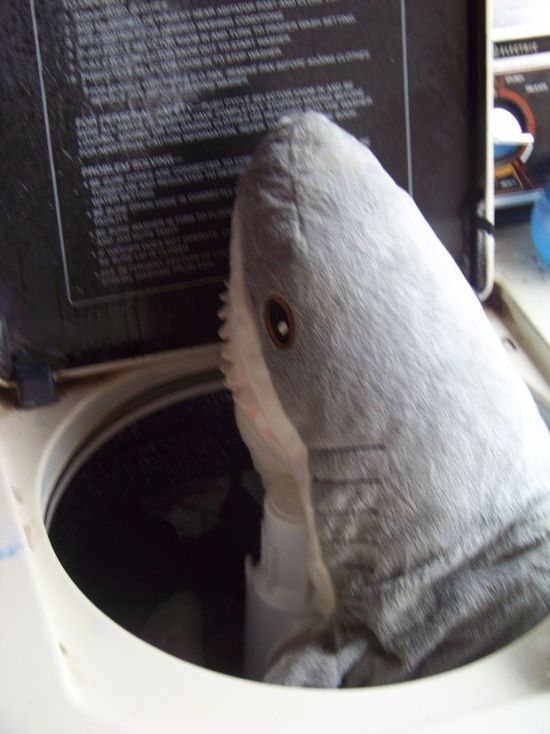 Strange Gift Package (23 pics)