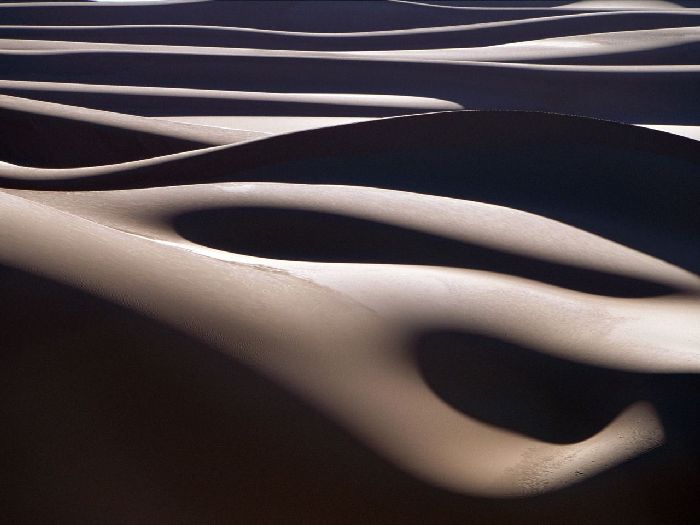 Patterns in Nature (147 pics)