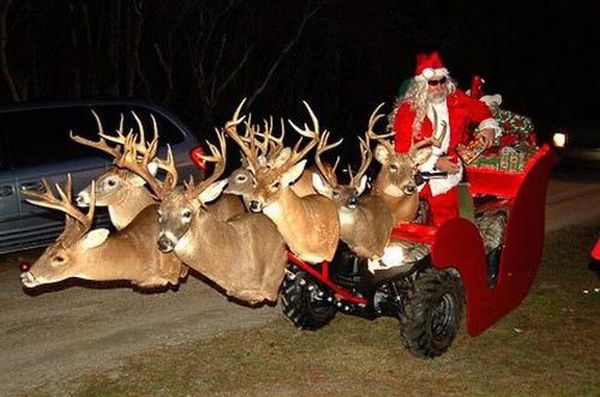 Rednecks' Christmas (35 pics)