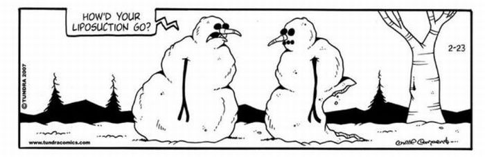Funny Snowmen Comics (13 pics)