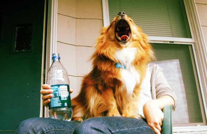 Acid Picdump (175 pics)