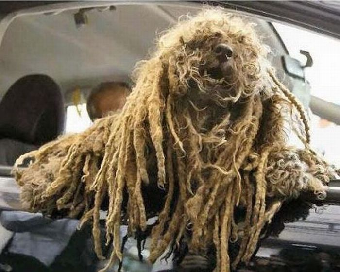 Acid Picdump (175 pics)