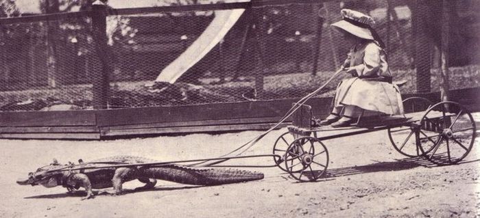 Acid Picdump (175 pics)
