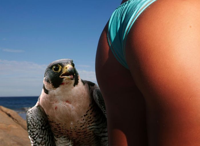 Acid Picdump (175 pics)