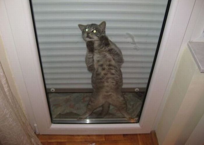Acid Picdump (175 pics)