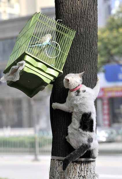 Acid Picdump (175 pics)