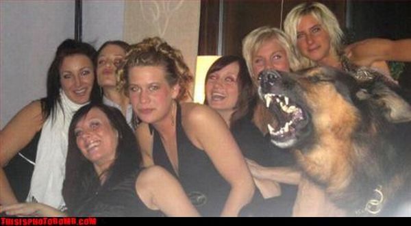 Photobombs. Part II (105 pics)