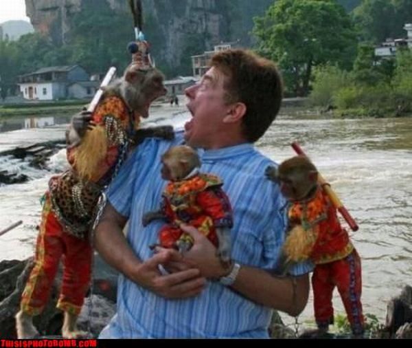 Photobombs. Part II (105 pics)
