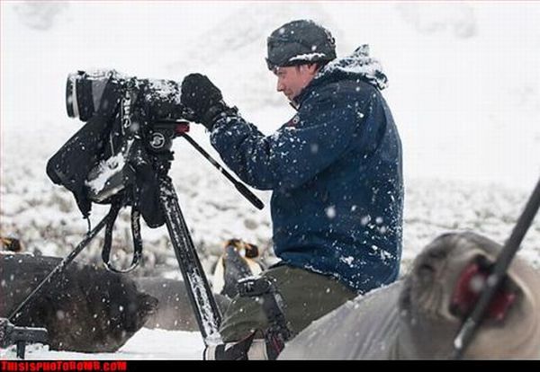 Photobombs. Part II (105 pics)