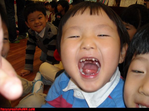 Photobombs. Part II (105 pics)