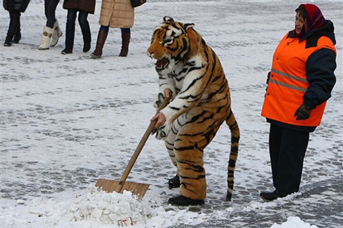 Acid Picdump (100 pics)