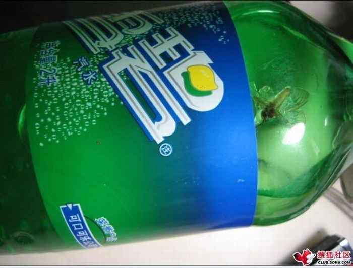 What Can Be Found Inside a Sprite Bottle in China (8 pics)