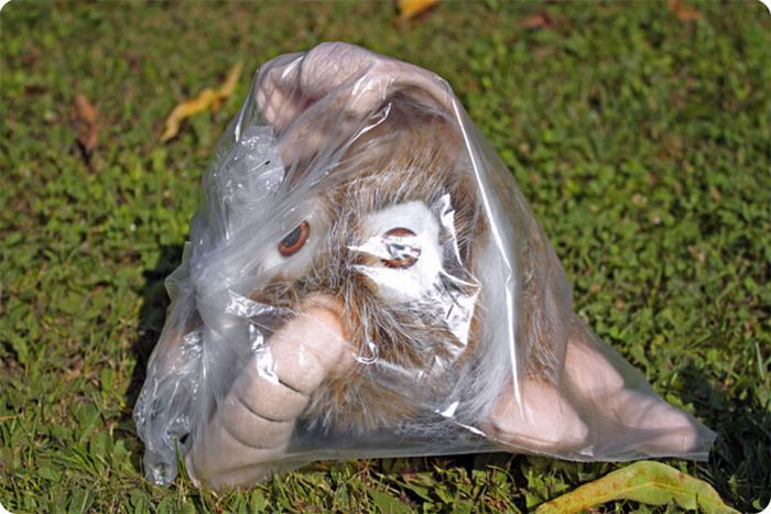Anus-Mouth Animal (16 pics)