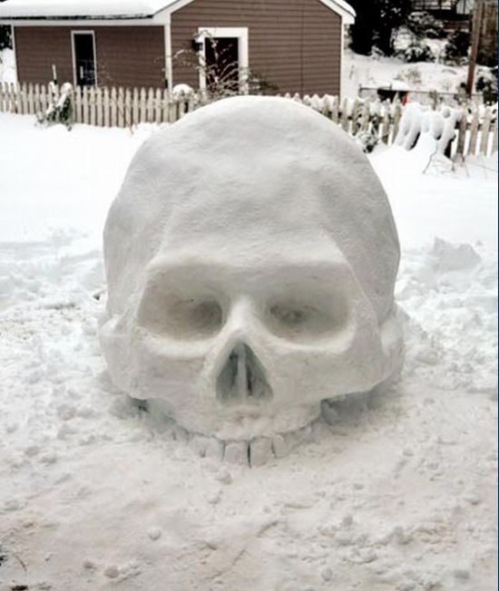 Snow Skull (9 pics)