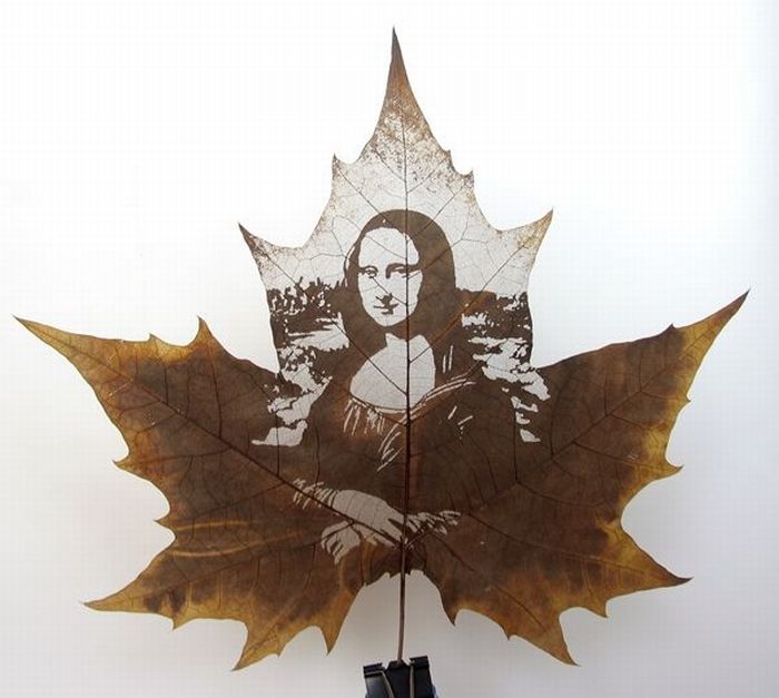 Pictures on leaves (15 pics)