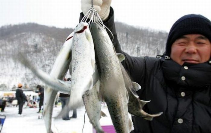 Mass Fishing in Korea (12 pics)