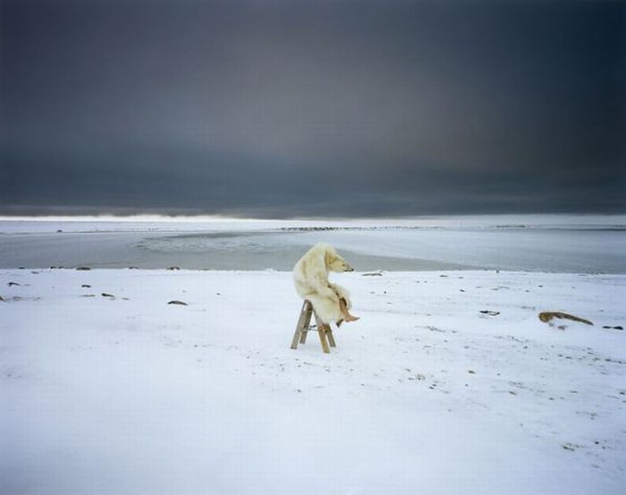Acid Picdump (144 pics)