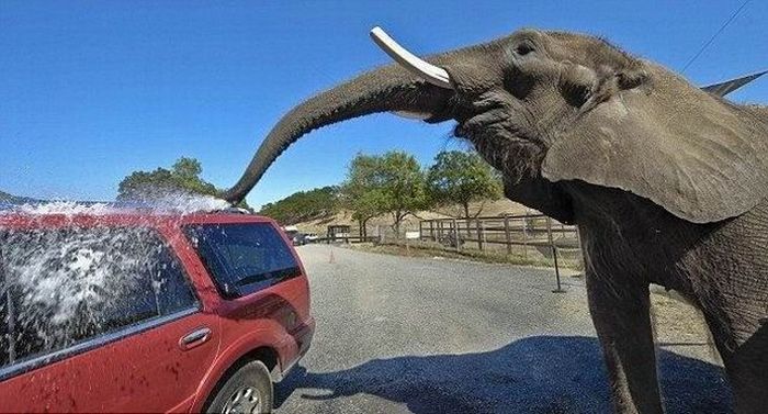 Acid Picdump (144 pics)