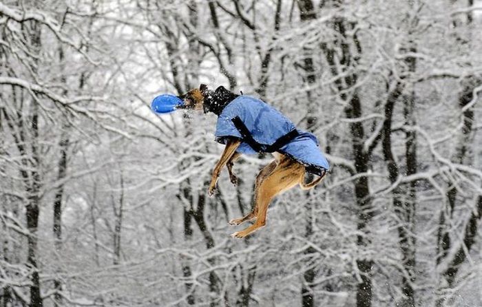 Acid Picdump (144 pics)