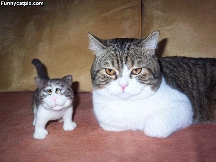 Acid Picdump (144 pics)