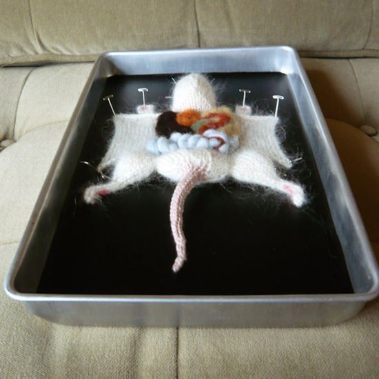 Knitted Dissected Animals (9 pics)