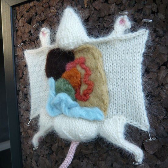 Knitted Dissected Animals (9 pics)