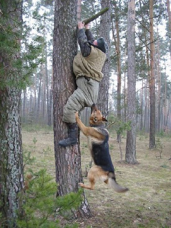 Respect the Nature! (15 pics)