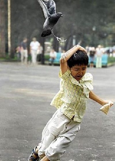 Respect the Nature! (15 pics)