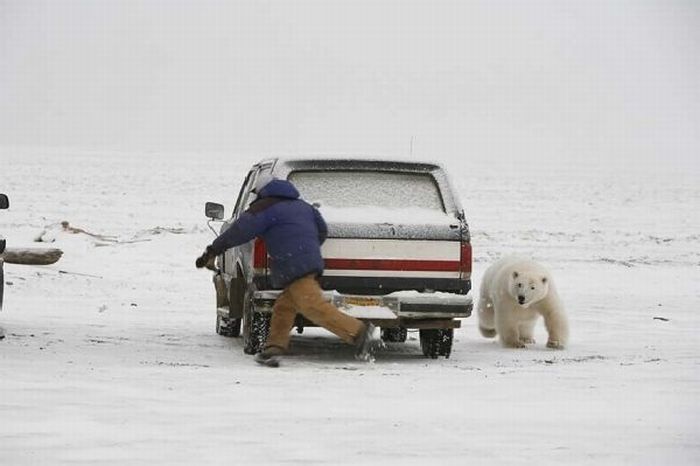 Respect the Nature! (15 pics)