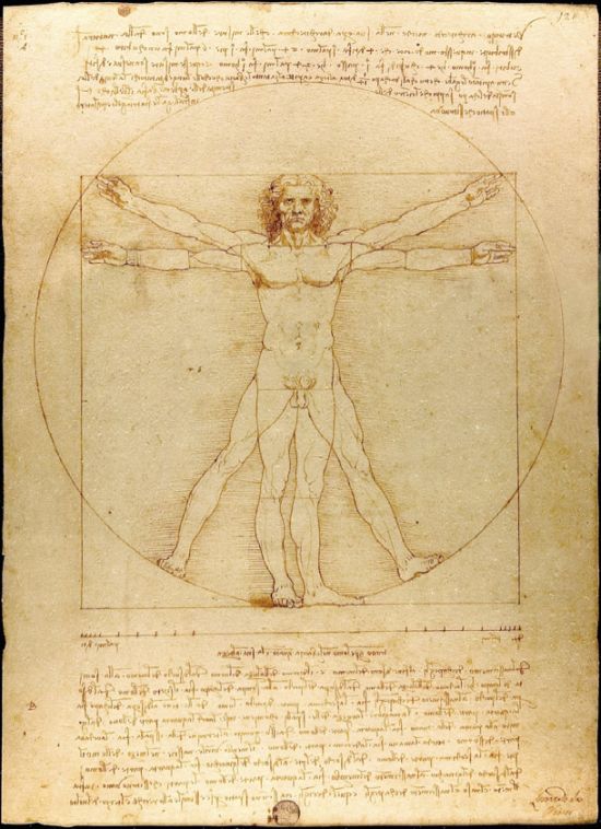 Da Vinci's Vitruvian Man (18 pics)